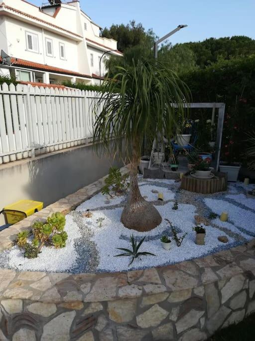 Villa Eco-Chic Carini Exterior photo